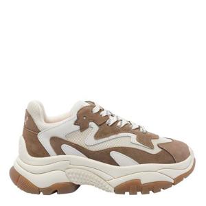 아쉬 스니커즈 ADDICT 06 Brown