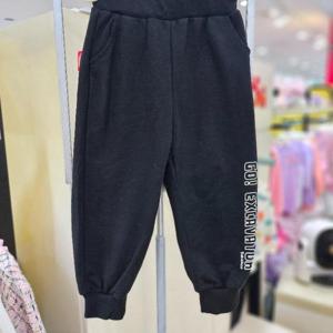 리틀밥독 sh06 붕붕더블PT B253MWP10