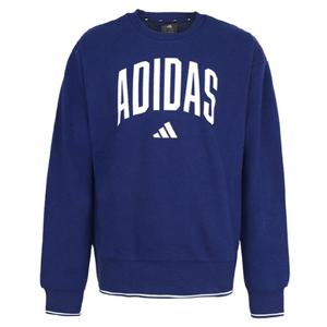 아디다스긴팔티 VQC JM1734 컬리지 스웨트셔츠 긴팔티