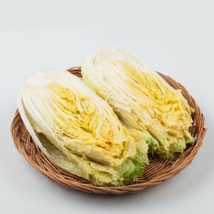 [예약판매]국내산 해남 절임배추 20kg (7-10포기내외)