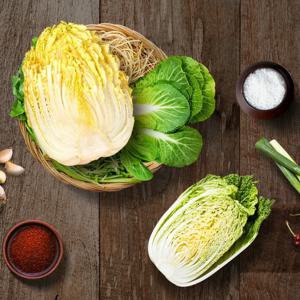 산지직송 강원도 고랭지 절임배추 20kg