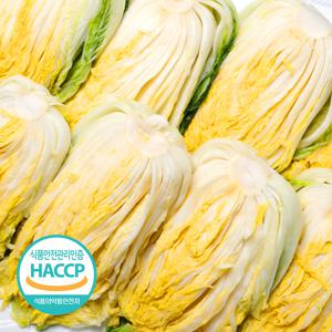 [예약판매] 해썹인증 전남 해남 절임배추 20kg 7-11포기 김장 WD