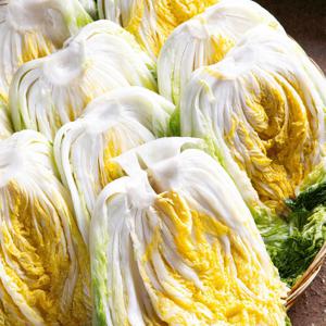 [예약발송]괴산 절임배추 20kg 20키로 김장 절인배추