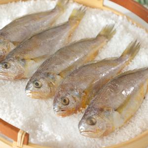 바다성찬 참굴비 600g 10미x5봉(미당50∼70g내외)