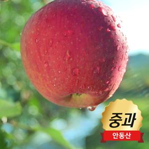 [제철엔] 안동 햇사과 5.6kg (2.8kg x 2박스) / 총 24과 / 부사 / 특등급