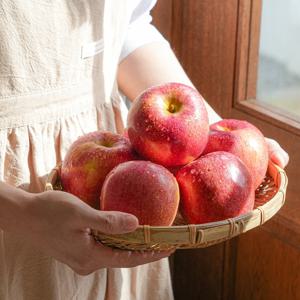 [비타민연구소] 경북 고당도 감홍사과 중대과 4.5kg 11-18과 내외