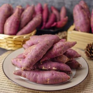 [호천참살이농산] 무안 황토 유기농 꿀고구마 10kg(중상/70-100g), 베니하루카, 달수고구마