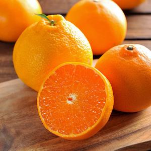 [자연품애]제주 가정용 황금향 실중량 4.5kg 대과