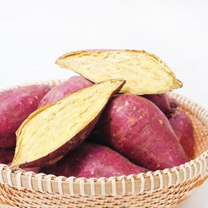 퍽퍽하고 타박한 오리지널 진짜 밤고구마 5kg (한입/50-100g)