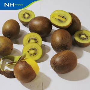 순천 골드키위 5kg(실속형/대과) 무선별