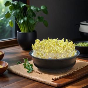 생활백과 콩나물 키우기 재배기 키트 BPA FREE