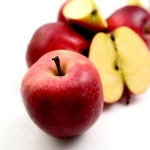 초록초록팜 밀양 얼음골 사과 못난이 주스용 5kg 23과 홍로 아삭아삭 제철 과일 사과즙