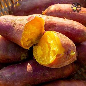 세척 호박고구마 호풍미/중상 5kg(개당 80-120g)