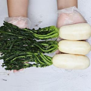 국내산 다섯번 세척한 절임 총각무 알타리 3.5kg