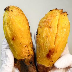 25년 해남 베니하루카 꿀고구마  5kg (중상)