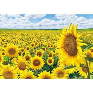 직소퍼즐 풍경 만사형통 해바라기 들판 1014피스 (WFHY3DA)