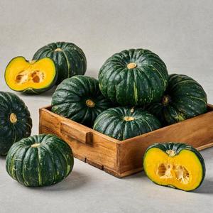[팜스프링] 제주 미니 밤호박 보우짱 소과 2kg