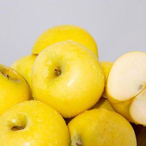 [더조은] 황금사과 시나노골드 정품 3kg 10-14과