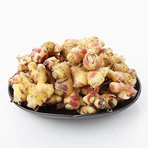 25년 국내산 흙생강 2kg