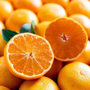 [맛딜] 네이블 오렌지 30입 (6.9kg 내외)