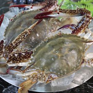 국내산 서해안 제철 암꽃게 대 사이즈 1Kg 신선급냉 산지직송