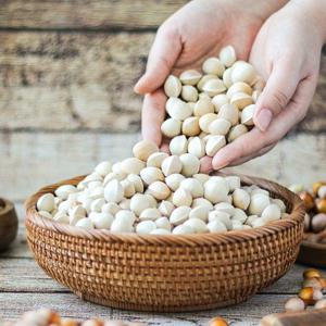 [푸드맛봄] 전북 순창 무농약 피은행 1kg 대사이즈 국내산 은행