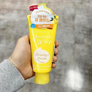 센카 퍼펙트 휩 비타민C 포어리스 글로우 클렌징폼 100g tx89071