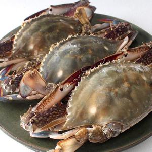 국내산 활 숫꽃게 2kg