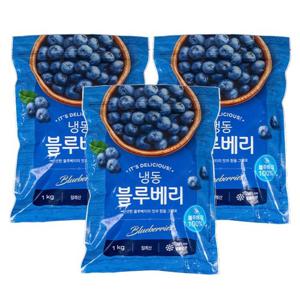냉동 블루베리 1kg x 3팩 냉동과일 대용량 칠레산