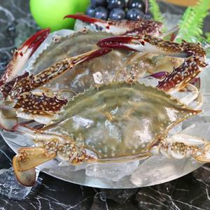 국내산 서해안 제철 활 숫꽃게 1Kg(3~6미)당일조업 산지직송
