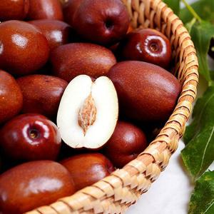 선물용 생대추 1kg 특초 26mm