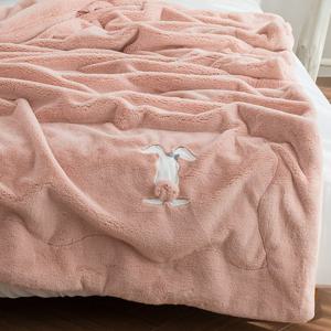 이솔홈 래빗 극세사 양면 밍크담요 무릎담요 블랭킷 대형 특대형