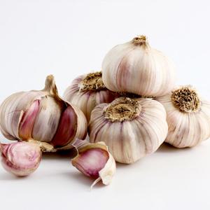 신선한 맛있는 의성 토종 육쪽마늘 특 5kg 내외 (한접 95-105)개