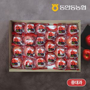 [중대과 부사] 햇 농협 정품 세척사과 5kg (23과내)