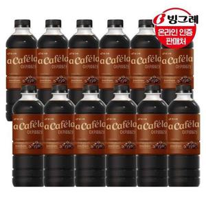 갤러리아_빙그레 아카페라 아메리카노 과테말라 안티구아 1Lx12펫