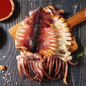 갤러리아_해풍으로 건조한 구룡포 반건조오징어(왕특대) 10미 2kg 내외