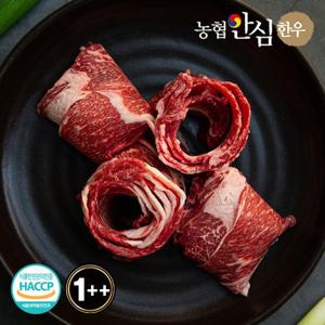 농협안심한우 1++등급 한우 불고기 600g(300g x 2팩)