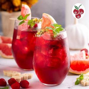 문경 자일로스 오미자청 1L