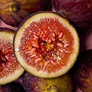 무농약 홍무화과 특 등급 800g 내외 (2~3팩, 8~15입)