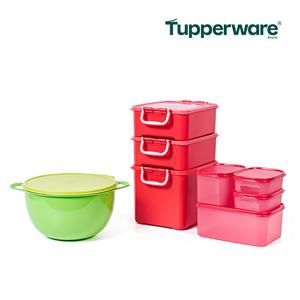 [Tupperware] 타파웨어 시그니처 김치통 NEW 패키지