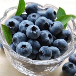 새콤 달콤 생블루베리 125g x 3팩