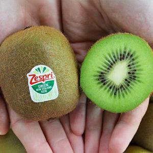 제스프리 뉴질랜드 그린키위 특대과 20과