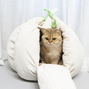 [쿨제이쇼핑] 고양이숨숨집 강아지하우스 애견 쿠션 이글루 겨울집 마늘