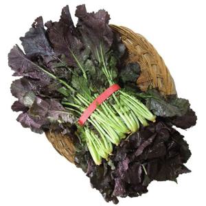 [산정마을]국내산 조선갓 홍갓 1단(2kg내외)