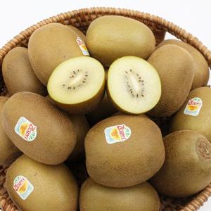제스프리 골드키위 점보과 2.8kg 내외 (19-21입)