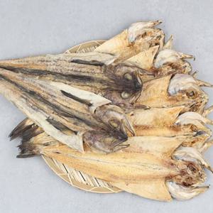 황태포 10미 35-40cm