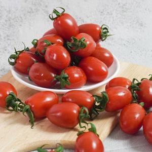 [더조은] 국내산 대추방울토마토 1kg