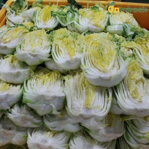 온미락 절임배추 20kg 강원도 고랭지 배추절임 3중 세척 국산 천일염 김장 김치 HACCP