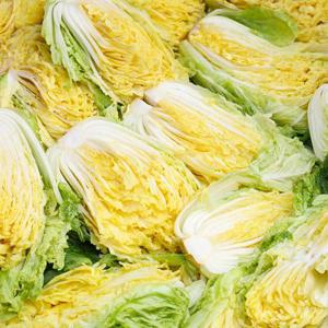 [지정일배송] [미식한가] HACCP 해남 김장 절임배추 20kg (7-10포기)