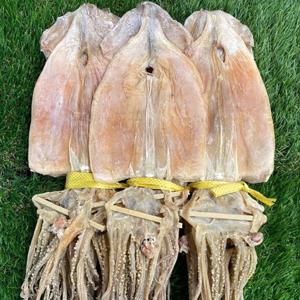 동해안 햇 마른오징어(대) 750g 건조오징어